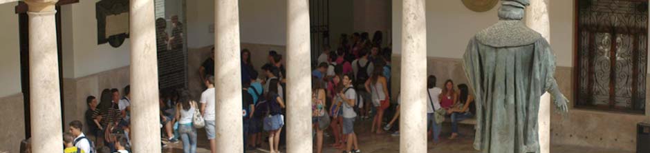 Voluntaris culturals a La Nau