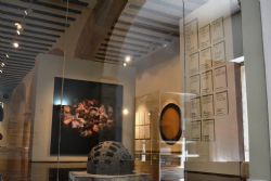 Exposició Premi Adquisició Fundació Cañada Blanch 2017, a La Nau.